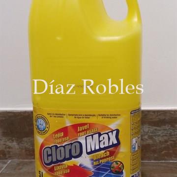 Lejía. Garrafa 5l. - Imagen 1