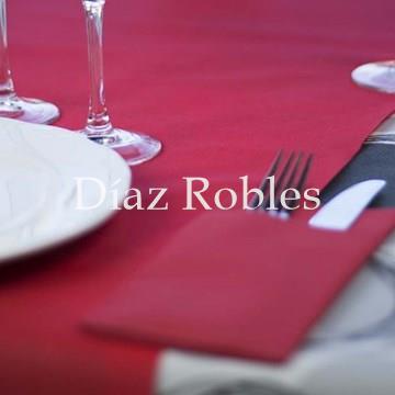 Mantel Camino NovoTex. Rollo 0,40x48mts. - Imagen 1