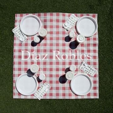 Mantel Papel Cuadros Burdeos 1x1mts. Caja 400/u. - Imagen 1